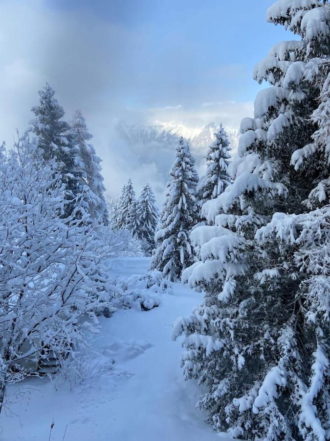 Chalet Am Sunne-Egge Auf Axalp Bei Brienz Exterior foto